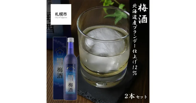 【ふるさと納税】 梅酒 500ml 2本セット 北海道産 ブランデー アルコール 12％ お酒 酒 贈答 ギフト 贈り物 北海道 札幌市