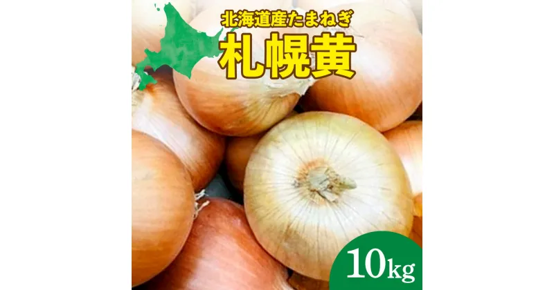 【ふるさと納税】 玉ねぎ 10kg 「札幌黄」 糖度 12度 M-Lサイズ 混合 野菜 玉葱 オニオン たまねぎ 国産 10000円 北海道産 北海道 札幌市