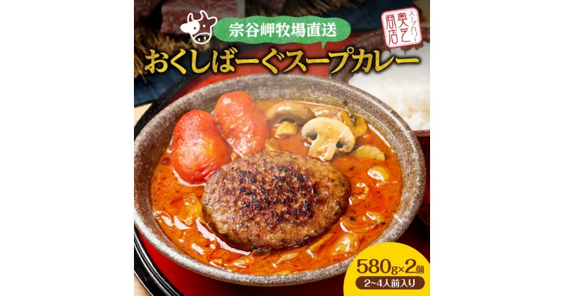 【ふるさと納税】 おくしばーぐ スープカレー 580g×2個 2～4人前 奥芝商店 宗谷岬牧場直送 ハンバーグ カレー パウチ グルメ ご当地 お取り寄せ 専門店の味 レトルト 人気 冷凍 ギフト プレゼント 贈答 贈り物 北海道 札幌市