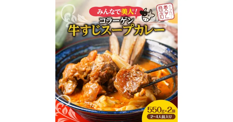 【ふるさと納税】 コラーゲン 牛すじ スープカレー 550g×2個 2～4人前 奥芝商店 牛 すじ カレー パウチ グルメ ご当地 お取り寄せ 専門店の味 レトルト 人気 冷凍 ギフト プレゼント 贈答 贈り物 北海道 札幌市