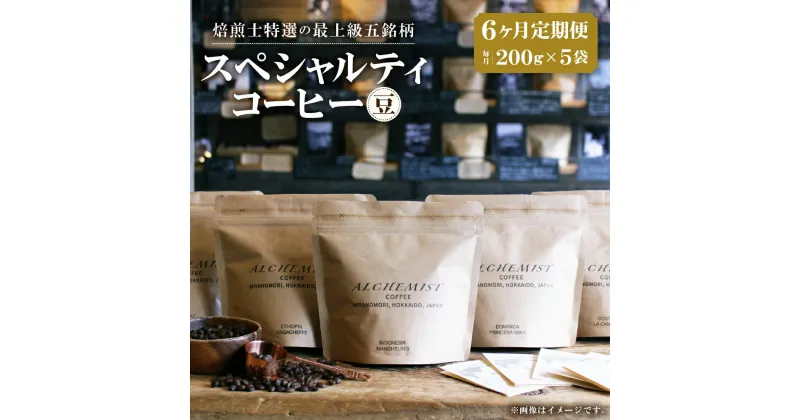 【ふるさと納税】【定期便：6ヶ月】特選五銘柄 スペシャルティコーヒー 200g x 5袋（豆） コーヒー 珈琲 定期便 全6回 毎月お届け 200g×5袋 飲み比べ コーヒー豆 飲料 鮮度 自家焙煎 焙煎士おすすめ 焙煎所直送 北海道 札幌市