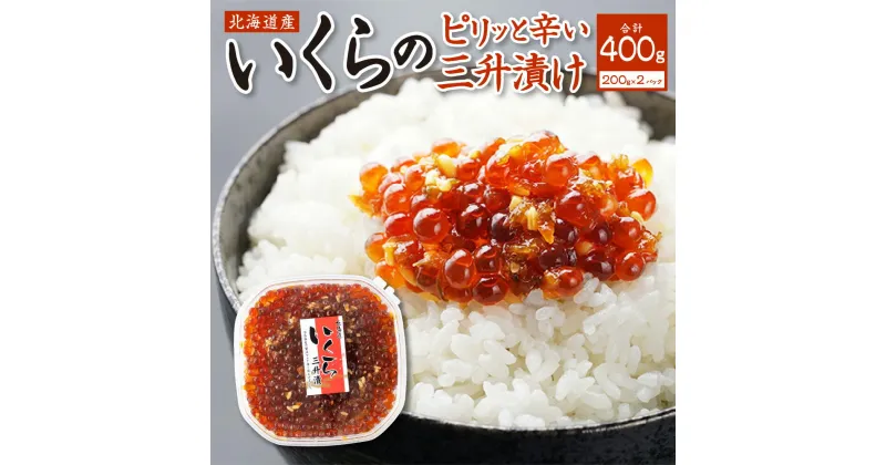 【ふるさと納税】 北海道産 いくら 三升漬け 400g （200g×2個） 小分け おつまみ おかず ピリ辛 ご飯のお供 ikura お取り寄せ お酒の肴 水産 鮭卵 魚卵 北海道 札幌市