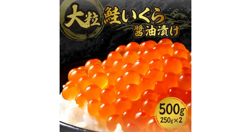 【ふるさと納税】 大粒 いくら 500g 鮭いくら 醤油漬け （250g×2） 2パック 小分け 魚卵 イクラ ikura おすすめ お取り寄せ グルメ お祝い 水産 海鮮 冷凍 おつまみ おかず ふるさと納税 北海道 札幌市