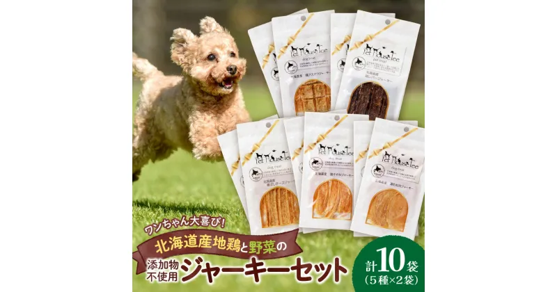 【ふるさと納税】 無添加ジャーキー セット 5種類 2袋 愛犬用 地鶏 鶏 野菜 無添加 動物 犬 ドッグ ペット ご褒美 餌 フード エサ おやつ 乾物 ごはん ご飯 間食 北海道 札幌市