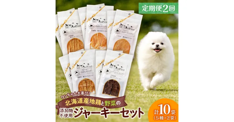 【ふるさと納税】 定期便 2回 無添加ジャーキー セット 5種類 2袋 愛犬用 ペットフード 地鶏 鶏 野菜 無添加 動物 犬 ドッグ ペット ご褒美 餌 フード エサ おやつ 乾物 ごはん ご飯 間食 北海道 札幌市