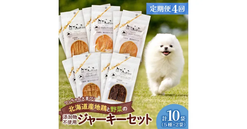 【ふるさと納税】 定期便 4回 無添加ジャーキー セット 5種類 2袋 愛犬用 ペットフード 地鶏 鶏 野菜 無添加 動物 犬 ドッグ ペット ご褒美 餌 フード エサ おやつ 乾物 ごはん ご飯 間食 北海道 札幌市