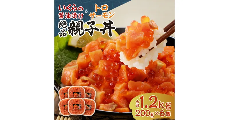 【ふるさと納税】 北海道産 いくら トロサーモン 親子丼 セット 1.2kg 200g 6個 醤油漬け 鮭卵 サーモン イクラ ikura 小分け パック 約2人前 お取り寄せ グルメ ご飯のお供 おつまみ 海鮮 水産 魚卵 魚介 冷凍 海鮮丼 北海道 札幌市