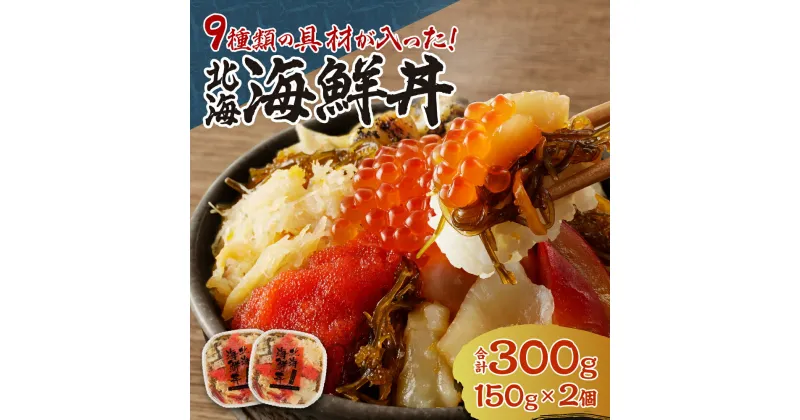 【ふるさと納税】 海鮮丼 300g （150g×2個） 9種の具材入り イクラ 帆立 ズワイガニ たらこ ツブ ホッキ 数の子 イカ 昆布 約4人前 魚介 冷凍 北海海鮮丼 北海道 札幌市