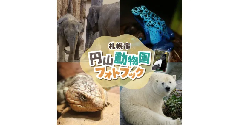 【ふるさと納税】 フォトブック 1冊 円山動物園 全32ページ B5サイズ 動物 限定 写真集 アニマル 動物園 北海道ふるさと納税 写真 フォト 本 ブック お土産 北海道 札幌市