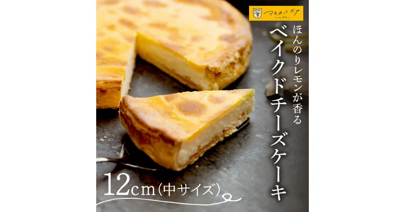 【ふるさと納税】 ベイクドチーズケーキ 中サイズ 12cm 2～4人分 約270g マスカットボア ベイクド チーズケーキ チーズ ケーキ クリームチーズ スイーツ デザート お菓子 菓子 洋菓子 お取り寄せ プレゼント ギフト 贈答 贈り物 冷蔵 北海道 札幌市