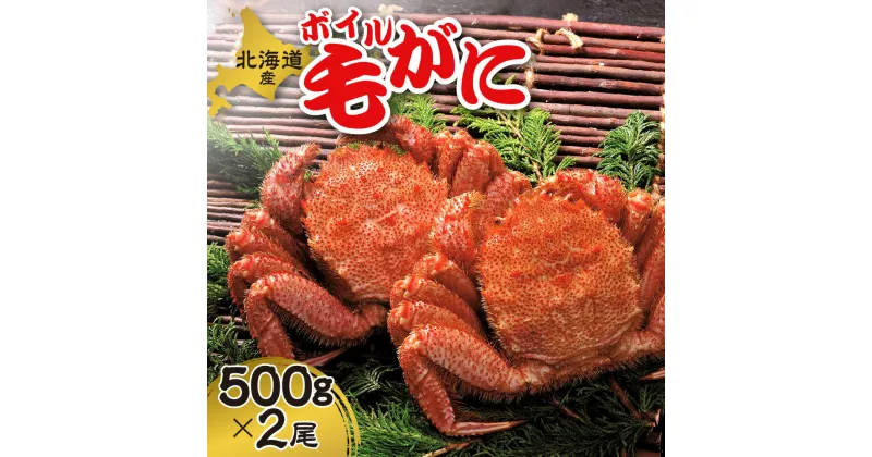 【ふるさと納税】 北海道産 毛ガニ 500g 2尾 ボイル 毛がに 計1kg 冷蔵 チルド カニ 毛蟹 蟹みそ お取り寄せ 水産 お祝い 北海道 札幌市