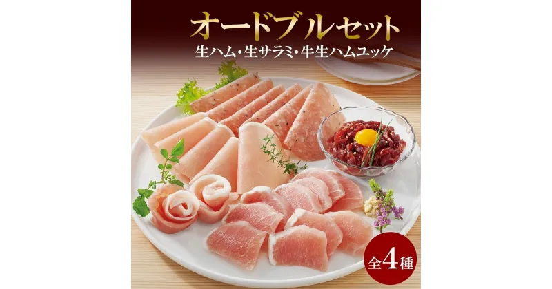 【ふるさと納税】 生ハム 4種 オードブル セット 生ハム サラミ ユッケ 豚肉 ブロック スライス 燻製 おつまみ パーティー 冷凍 ギフト バルナバハム バルナバフーズ 北海道 札幌市