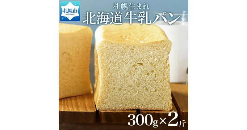 【ふるさと納税】 パン 300g 2個 プレーン 牛乳パン 食パン 冷凍パン デニッシュ トースト ベーカリー 冷凍 北海道産 小麦 牛乳 朝食 軽食 ギフト フーズ＆ブレッド 北海道 札幌市