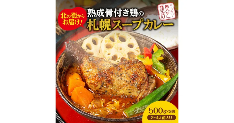 【ふるさと納税】 スープカレー 熟成 骨付き鶏 500g×2個 2~4人前 レトルト チキン チキンカレー 中辛 人気 お取り寄せ グルメ 冷凍 北海道 札幌市