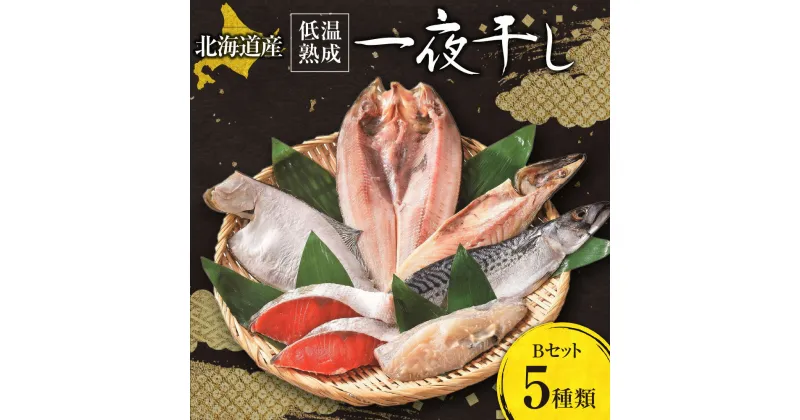 【ふるさと納税】 干物 一夜干し 5種類 セット 低温熟成 真ほっけ 開き さば 半身 宗八鰈 銀がれい 味噌漬け 冲獲り 天然 紅鮭 Bセット 水産 魚 魚介 サケ しゃけ ホッケ おかず おつまみ お取り寄せ 北海道 札幌市