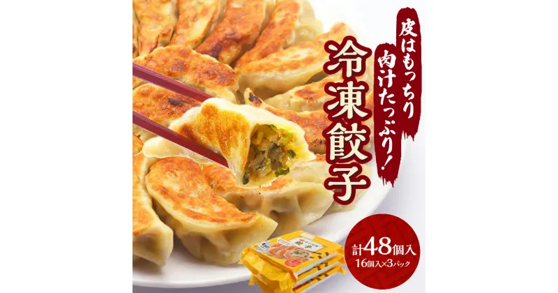 【ふるさと納税】 餃子 冷凍餃子 16個入り 3パック 48個 ギョーザ 惣菜 晩ご飯 冷凍 点心 お肉 お取り寄せ グルメ 北海道 札幌市