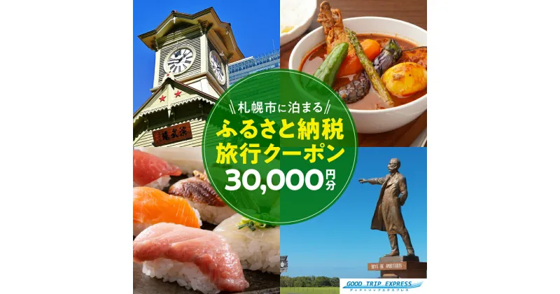 【ふるさと納税】 旅行 クーポン 割引券 30,000円分 ツアー 電子クーポン 宿泊 チケット 観光 トラベル 旅 国内 北海道 札幌市