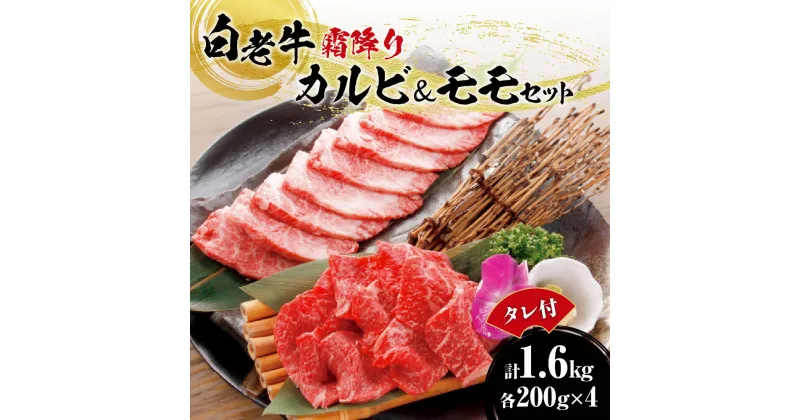 【ふるさと納税】 白老牛 カルビ モモ 牛肉 各800g 合計1.6kg たれ付 国産 和牛 A5/A4ランク 霜降り さし 赤身 肉 焼肉 特製焼肉のたれ セット 冷凍 焼肉店 徳寿 北海道 札幌市