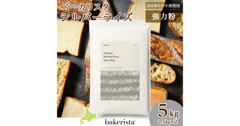 【ふるさと納税】 北海道産 パン用 小麦粉 2.5kg×2 計5kg はるゆたか きたほなみ シルバーライズ 食パン ハードブレッド 万能 ベース粉 ブレンド小麦 小麦 ホームベーカリー パン作り 北海道 札幌市