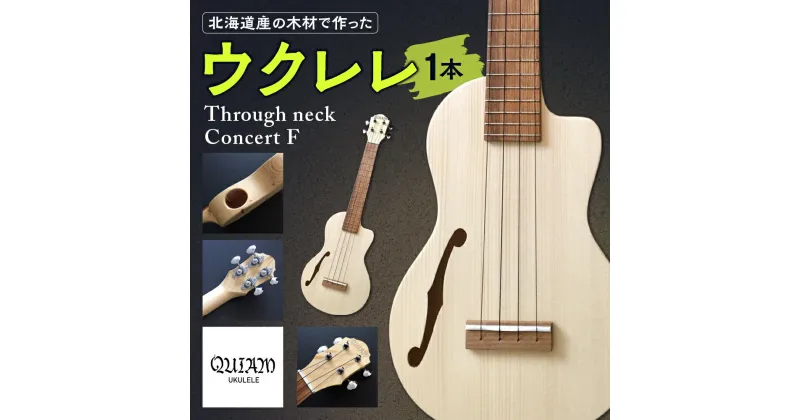 【ふるさと納税】 ウクレレ Through neck Concert F コンサートウクレレ 北海道産 エゾマツ トドマツ エンジュ Fホール サイドホール 楽器 弦楽器 音楽 演奏 北海道 札幌市