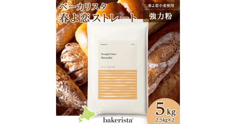 【ふるさと納税】 強力粉 北海道産 小麦 100％ 2.5kg×2 計5kg パン用 小麦粉 パン 春よ恋小麦 国産 強力小麦粉 製パン材料 春よ恋ストレート ホームベーカリー パン作り 菓子パン 北海道 札幌市