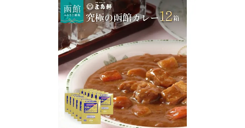 【ふるさと納税】究極の函館カレー 210g × 12箱 セット 創業明治12年 五島軒 レトルトカレー ポークカレー 中辛 北海道SPFポーク 使用 老舗レストラン ご当地 函館 北海道 お取り寄せ お取り寄せグルメ 送料無料