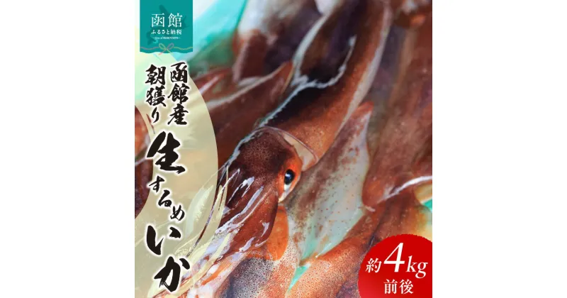 【ふるさと納税】函館産 朝獲り 生するめいか 約 4kg 前後 季節限定 コリッコリ イカ 生いか スルメイカ いか刺し 函館名物 地元食材 国産 魚介類 冷蔵 イチヨ水産 北海道 函館 送料無料 お取り寄せグルメ