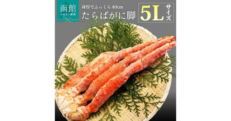 【ふるさと納税】5L サイズ たらばがに 脚 1kg かに カニ 蟹 たらば タラバ タラバガニ タラバ蟹 たらば蟹 函館 はこだて 北海道 ふるさと