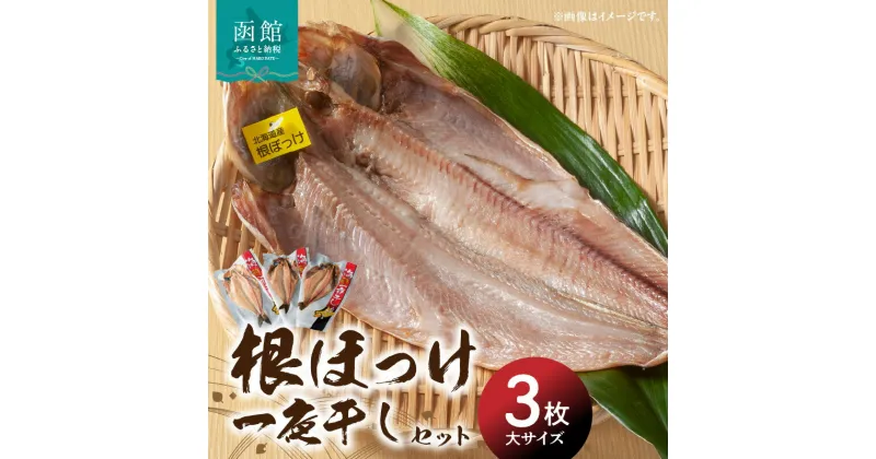 【ふるさと納税】根ほっけ一夜干しセット ほっけ ホッケ 北海道産 脂のり抜群 干物 魚 魚介 函館 はこだて