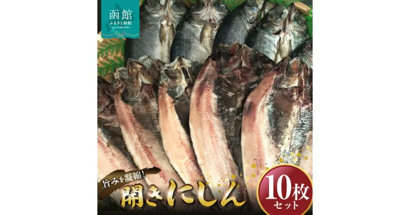 【ふるさと納税】開きにしん10枚セット「函館山崎水産」