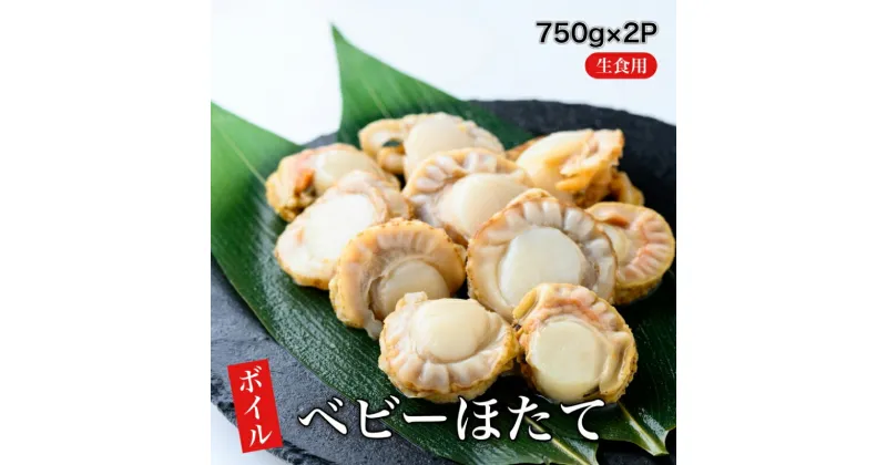 【ふるさと納税】【道水】ボイルベビーホタテ(生食用)1.5kg（750g×2袋） プロトン凍結 北海道直送