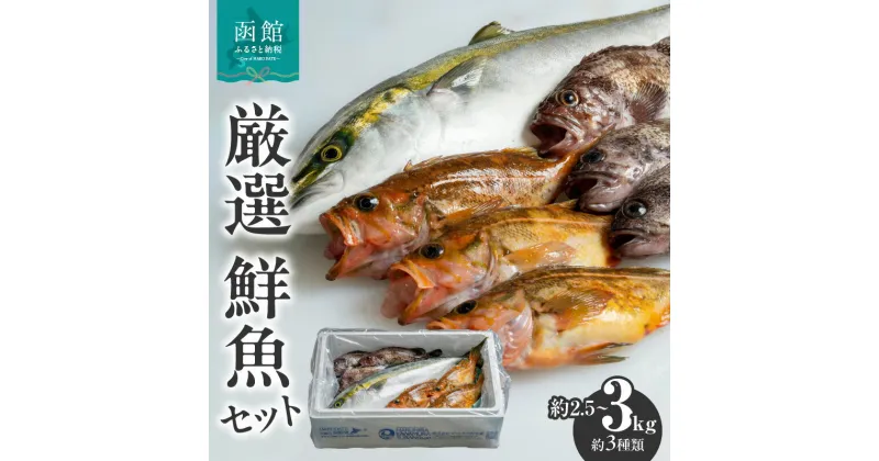 【ふるさと納税】【函館産】 厳選 鮮魚セット