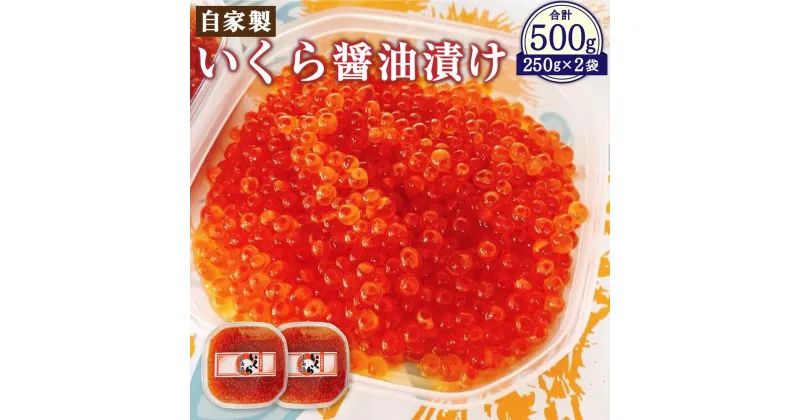 【ふるさと納税】自家製 いくら 醬油漬け 500g | イクラ 北海道産 小樽市 北海道 お取り寄せ 冷凍 送料無料