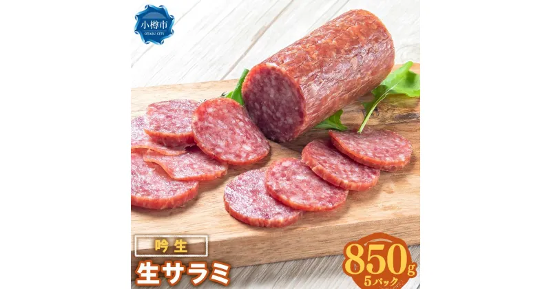 【ふるさと納税】吟生 生サラミ 170g×5パック (850g)