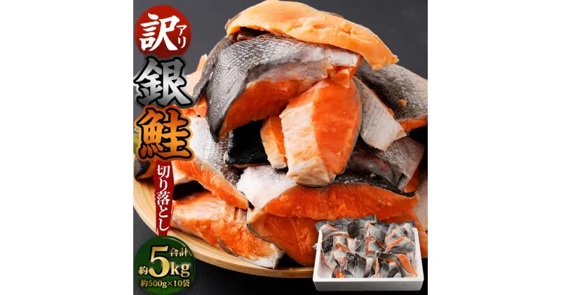 【ふるさと納税】【訳アリ】銀鮭 切り落とし 約5kg（約500g×10袋） | 鮭 さけ しゃけ サーモン 切身 切り身 小分け 保存 冷凍 おかず 惣菜 お取り寄せ 小樽市 北海道 送料無料