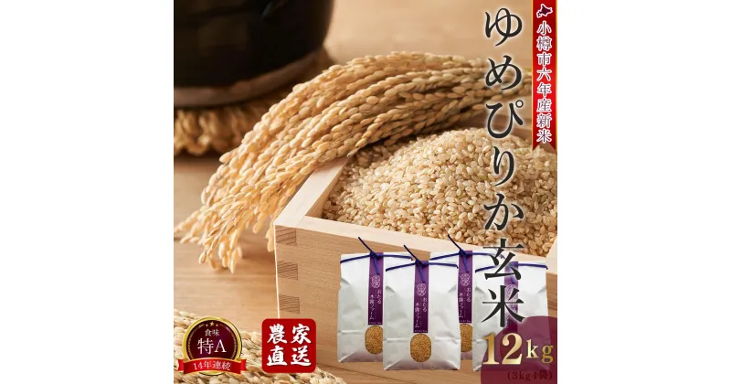 【ふるさと納税】【令和6年産 新米 順次発送中】北海道小樽市産 ゆめぴりか(玄米) 12kg(3kg×4袋) おたる木露ファーム[ふるさとクリエイト] | 米 お米 食べ比べ 玄米 ご飯 ごはん セット お取り寄せ 北海道 小樽市 ブランド米