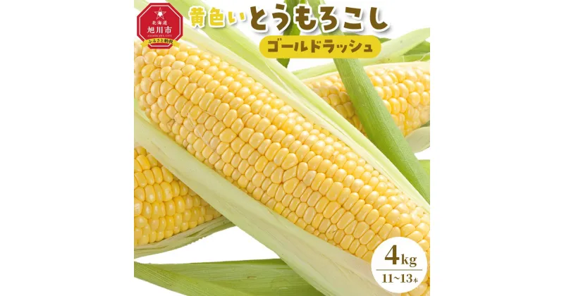 【ふるさと納税】【先行予約】【旭川近郊産】黄色いとうもろこし（ゴールドラッシュ）4kg（11-13本）(2025年8月上旬発送予定)_00092 | とうもろこし コーン ゴールドラッシュ スイートコーン 旬 野菜 夏野菜 冷蔵 甘い 糖度 北海道ふるさと納税 旭川市 北海道 送料無料