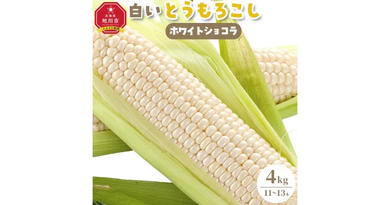 【ふるさと納税】【先行予約】【旭川近郊産】白いとうもろこし（ホワイトショコラ他）4kg＜11-13本＞(2025年8月上旬発送開始予定)_00093 | とうもろこし コーン 白とうもろこし スイートコーン ホワイトショコラ 甘い 旬 夏野菜 野菜 お取り寄せ 旭川市 北海道 送料無料