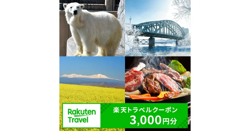 【ふるさと納税】北海道旭川市の対象施設で使える楽天トラベルクーポン 寄附額10,000円旅行 旅行券 旅行クーポン