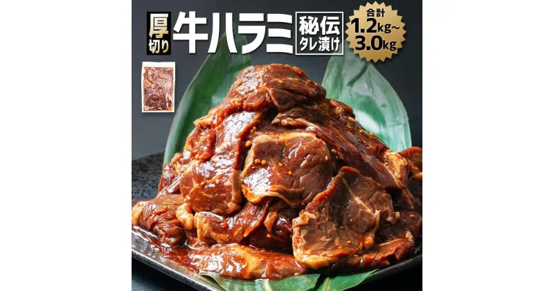 【ふるさと納税】厚切り！秘伝タレ漬け牛ハラミ（サガリ）※タレ込み【 焼肉 セット 牛肉 肉 焼き肉 牛 焼肉用 】_01551 | 牛肉 焼肉 焼き肉 タレ 漬け 厚切り にく 小分け 個包装 冷凍 セット BBQ アウトドア キャンプ 大人気