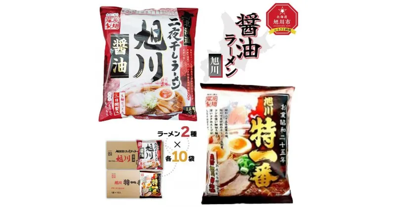 【ふるさと納税】藤原製麺 旭川製造 旭川醤油ラーメン 1箱(10袋入)/特一番醤油ラーメン 1箱(10袋入)インスタント袋麺_02140