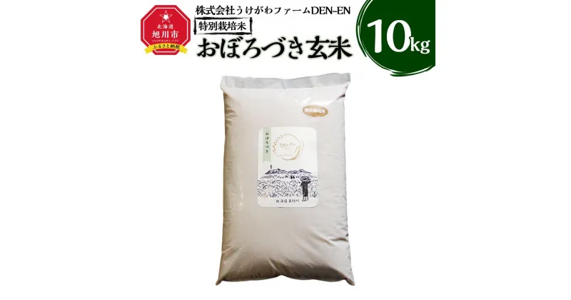 【ふるさと納税】令和6年産 特別栽培米「おぼろづき」玄米10kg_03196 | お米 こめ 白米 食品 人気 おすすめ 送料無料