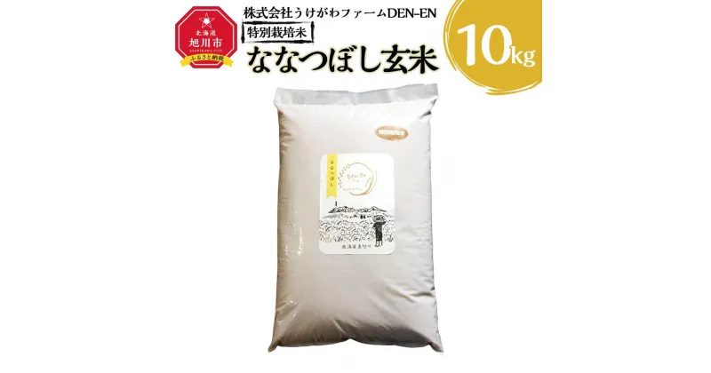 【ふるさと納税】令和6年産 特別栽培米「ななつぼし」玄米10kg_03197 | お米 こめ 白米 食品 人気 おすすめ 送料無料