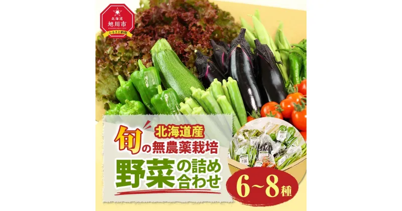 【ふるさと納税】【北海道旭川産】旬の野菜詰め合わせ[6～8種類](栽培期間中農薬不使用・化学肥料不使用)_02944 | 野菜 やさい 食品 人気 おすすめ 送料無料