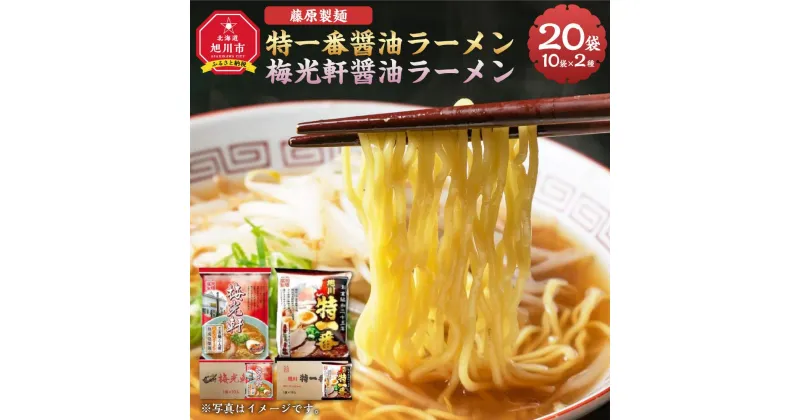 【ふるさと納税】藤原製麺 旭川製造 特一番醤油ラーメン 1箱(10袋入)/梅光軒醤油ラーメン 1箱(10袋入)インスタント袋麺_03494 | 麺 食品 加工食品 人気 おすすめ 送料無料