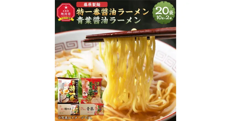 【ふるさと納税】藤原製麺 旭川製造 特一番醤油ラーメン 1箱(10袋入)/青葉醤油ラーメン 1箱(10袋入)インスタント袋麺_03498 | 麺 食品 加工食品 人気 おすすめ 送料無料