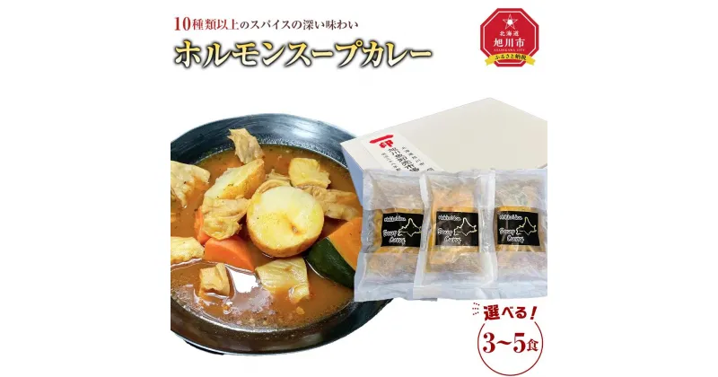 【ふるさと納税】【お選びいただけます】旭川フーズ・ワン　北海道ホルモンスープカレー　3～5食セット | 食品 加工食品 人気 おすすめ 送料無料