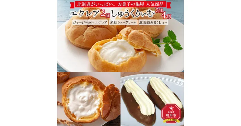 【ふるさと納税】エクレア2個としゅうくりぃむ2種4個のセット_03882 | 菓子 おかし 食品 人気 おすすめ 送料無料