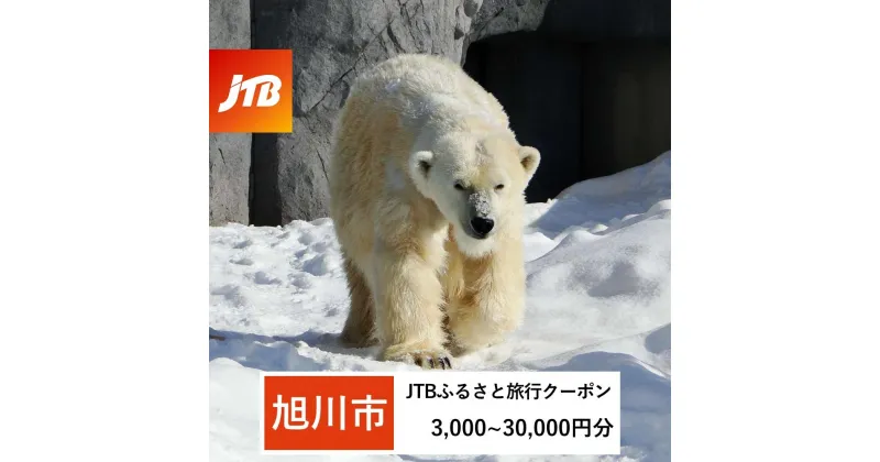 【ふるさと納税】【旭川市】JTBふるさと旅行クーポン（Eメール発行）（3,000円分～30,000円分） | 旅行 観光 旅行券 旅行クーポン クーポン 旭川市ふるさと納税 北海道ふるさと納税 旭川市 北海道