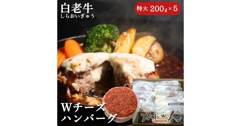 【ふるさと納税】道産和牛ダブルチーズハンバーグ（200g）5個入り 【ふるさと納税 人気 おすすめ ランキング 北海道産 和牛 ダブルチーズ Wチーズ ハンバーグ 肉 肉厚 チーズ モッツァレラチーズ デミグラス セット 大容量 詰合せ 北海道 室蘭市 送料無料】 MROA047